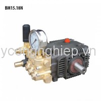 Đầu bơm áp lực cao BTF BM15.18N