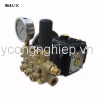 Đầu bơm áp lực cao BTF BM15.10C