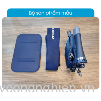 Bàn ủi toàn hơi Silver Star BSP-300