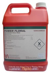 Hóa chất khử mùi và diệt khuẩn Power Lloral 5l