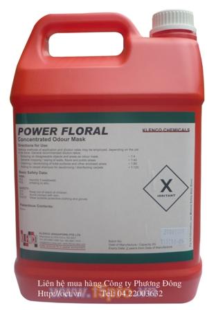 Hóa chất khử trùng và tạo mùi thơm Power floral 20l