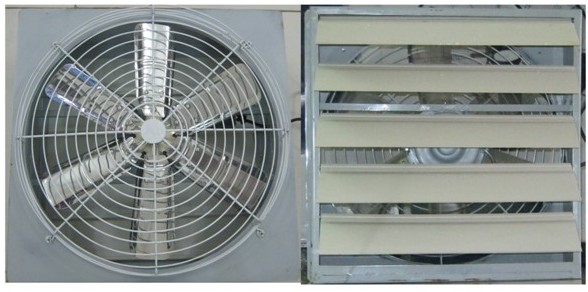 Quạt thông gió Việt Nam QVN Q Vuông 30 CM 2 lá sách