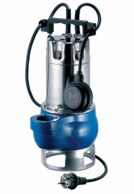 Máy nước bơm đầu Inox Pentax nhập khẩu DG 100/2G